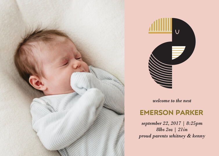 Birth Announcement